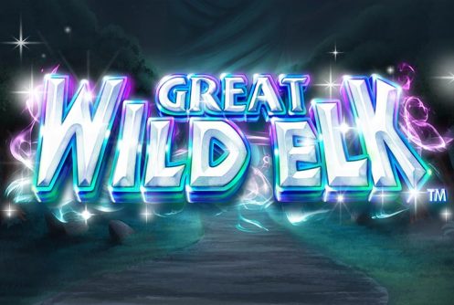 Great Wild Elk