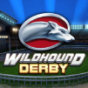 Wildhound Derby