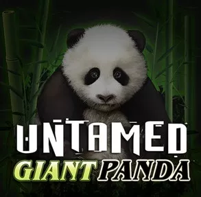 Untamed Giant Panda