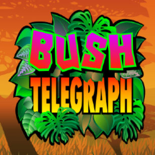 Bush Telegraph