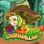 Cashapillar