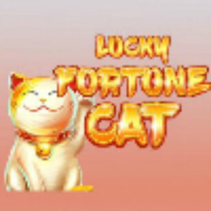 Lucky Fortune Cat