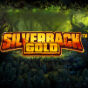 Silverback Gold