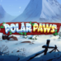 Polar Paws
