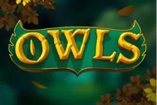 Owls