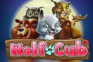Wolf Cub