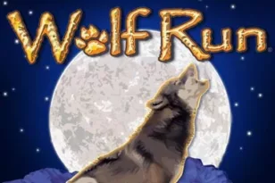 Wolf Run