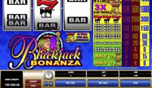 Blackjack Bonanza