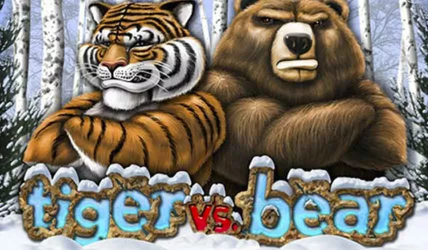 Tiger vs Bear