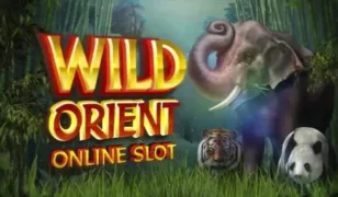 Wild Orient