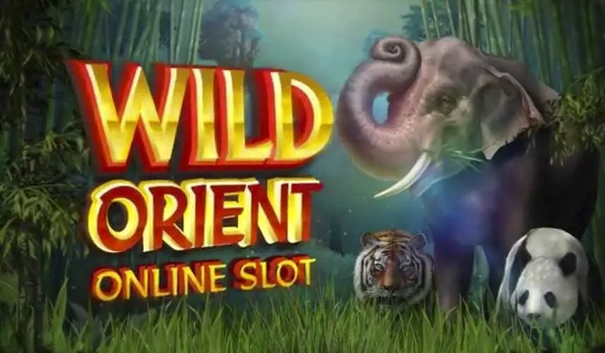 Wild Orient