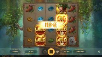 druids-dream-wilds druids-dream-wilds