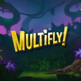 Multifly