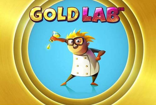 Gold Lab