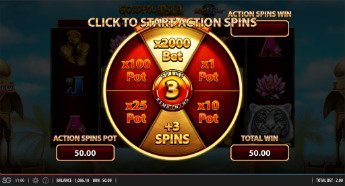 golden-asia-action-spins golden-asia-action-spins