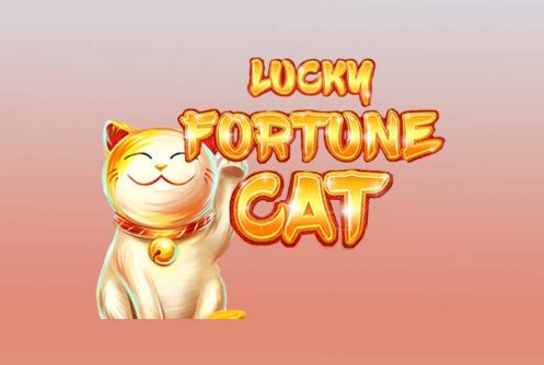 Lucky Fortune Cat