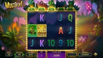 multifly-freespins multifly-freespins
