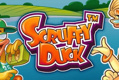 Scruffy Duck