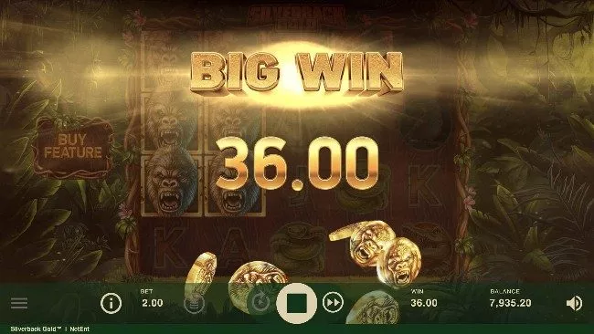 Silverback gold är en spelautomat från NetEnt