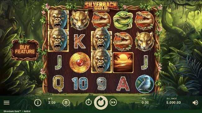 Silverback gold är en spelautomat från NetEnt.