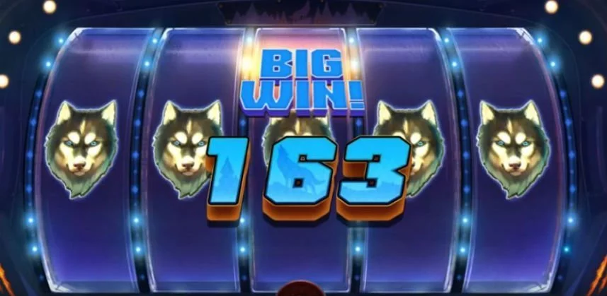 Big win on Spinsane online slot