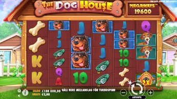 the-dog-house-online-slot the-dog-house-online-slot