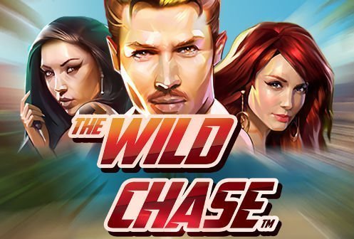 the-wild-chase-497x336 the-wild-chase-497x336