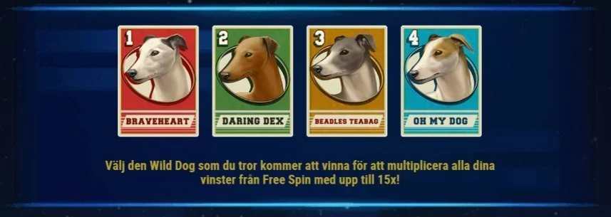 Bilden visar olika wilds i casinospelet Wildhound Derby. Wilds kommer i form av hundar som används för att tävla mot varandra i spelets frispelsläge.
