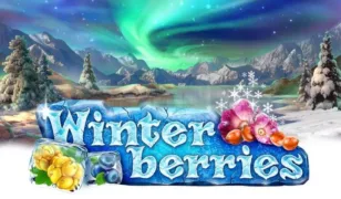 WinterBerries