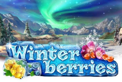 Winter Berries